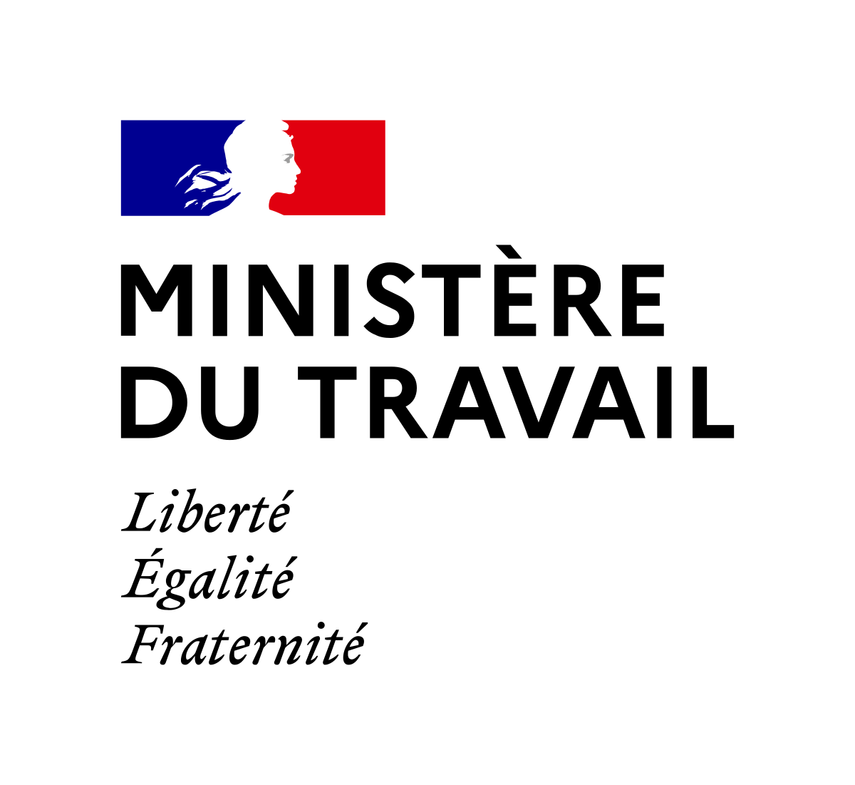 logo Ministère du travail 2020